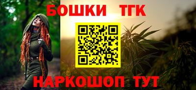 индика Кулебаки