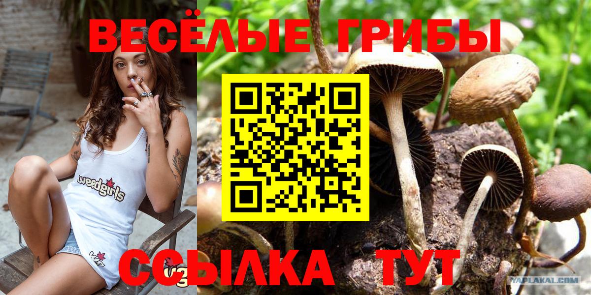 Галлюциногенные грибы мухоморы  Вход с VPN  Коломна 