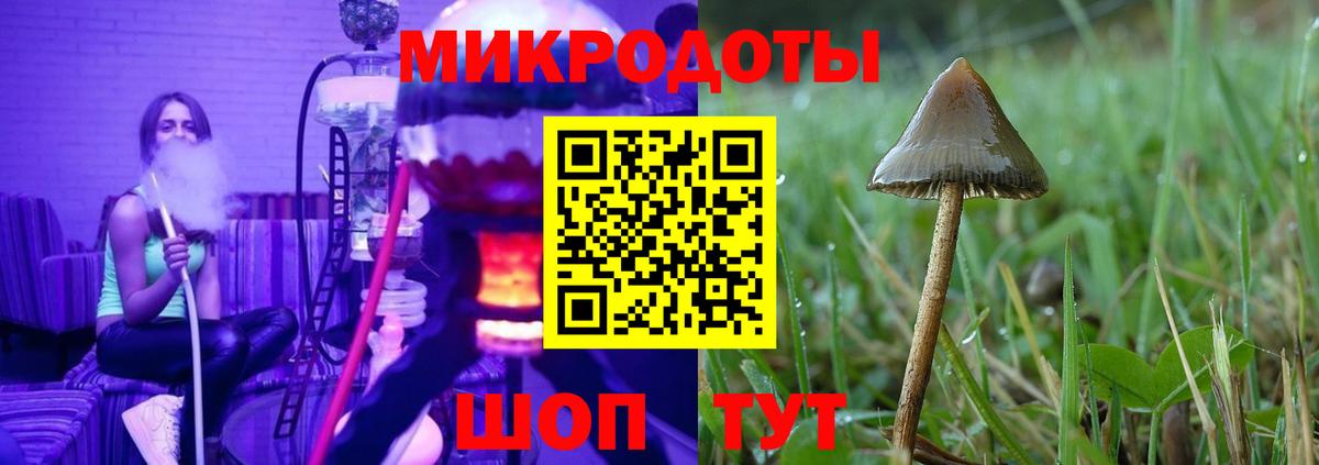 Псилоцибиновые грибы мухоморы Коломна